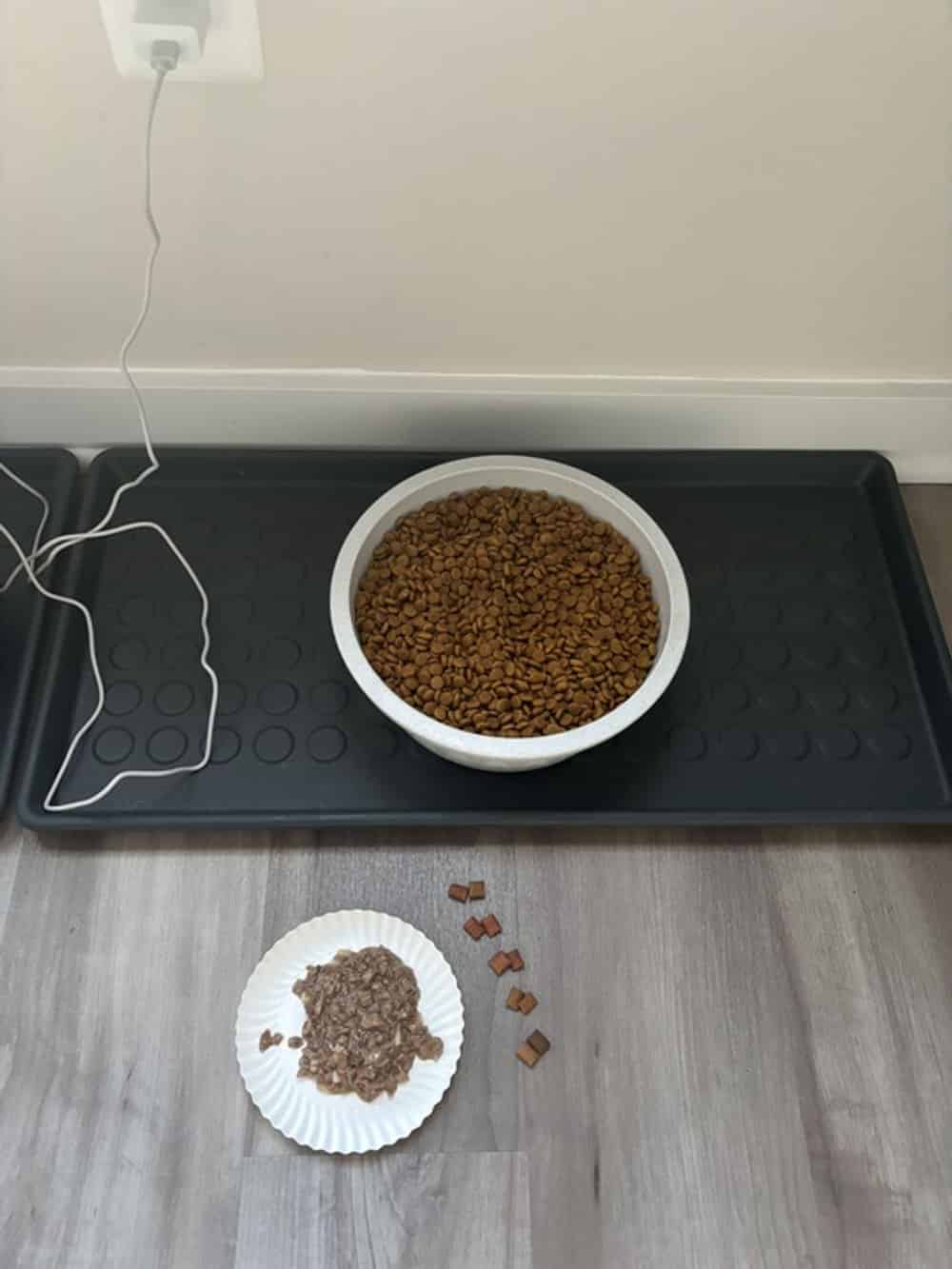 House Sitting Add-On image