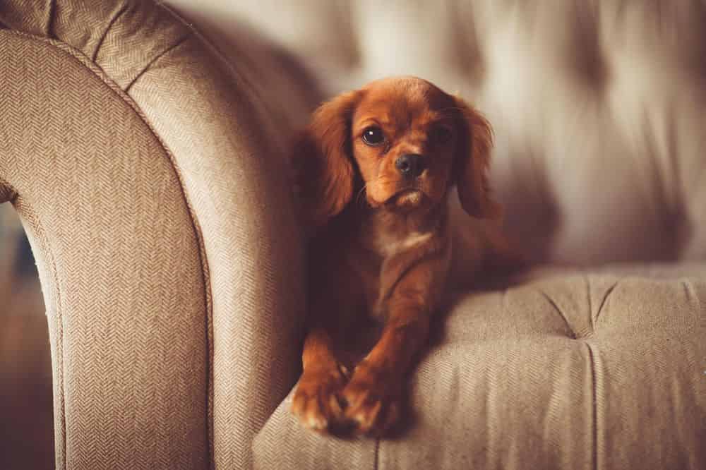 Weekend Sitting image