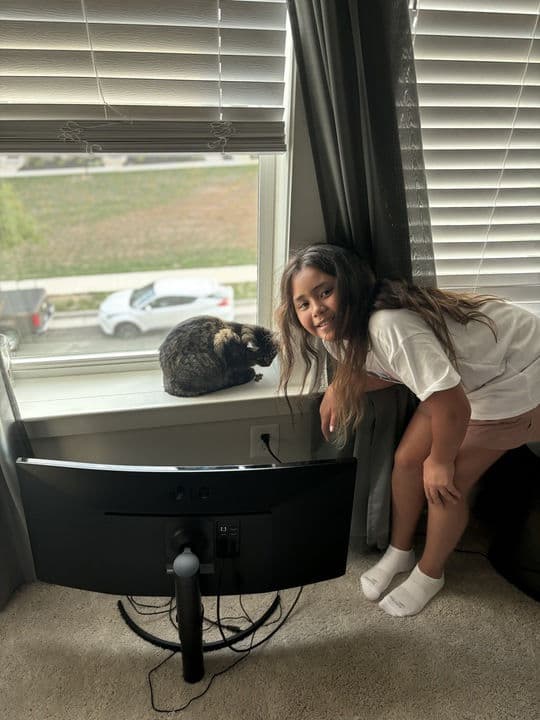 House Cat Sitting