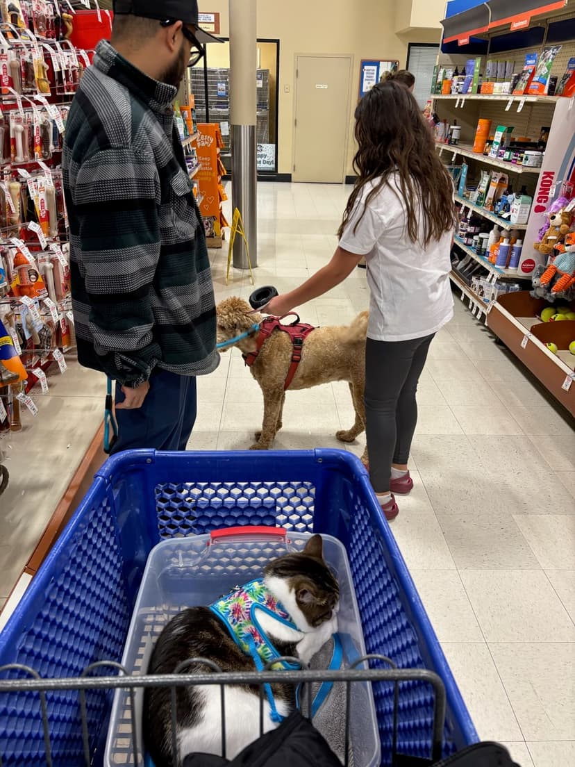 Person shopping with a dog and a cat in a cart at a pet store aisle.