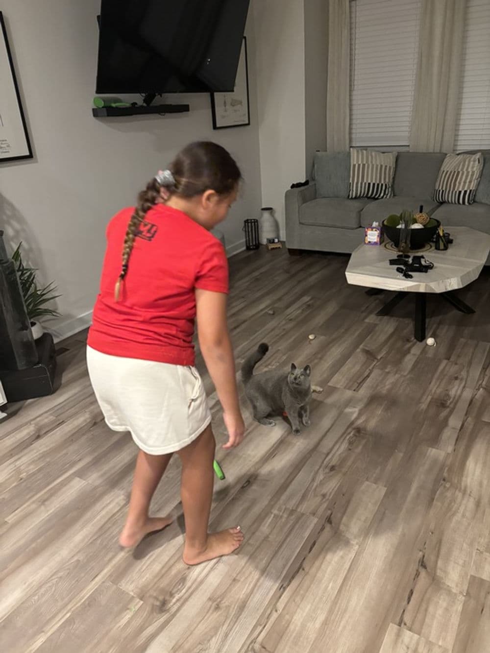 Child playing with a gray cat in a living room with modern decor and wooden flooring.