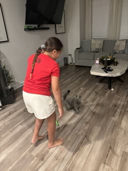 Affordable and Reliable Pet Sitting's image