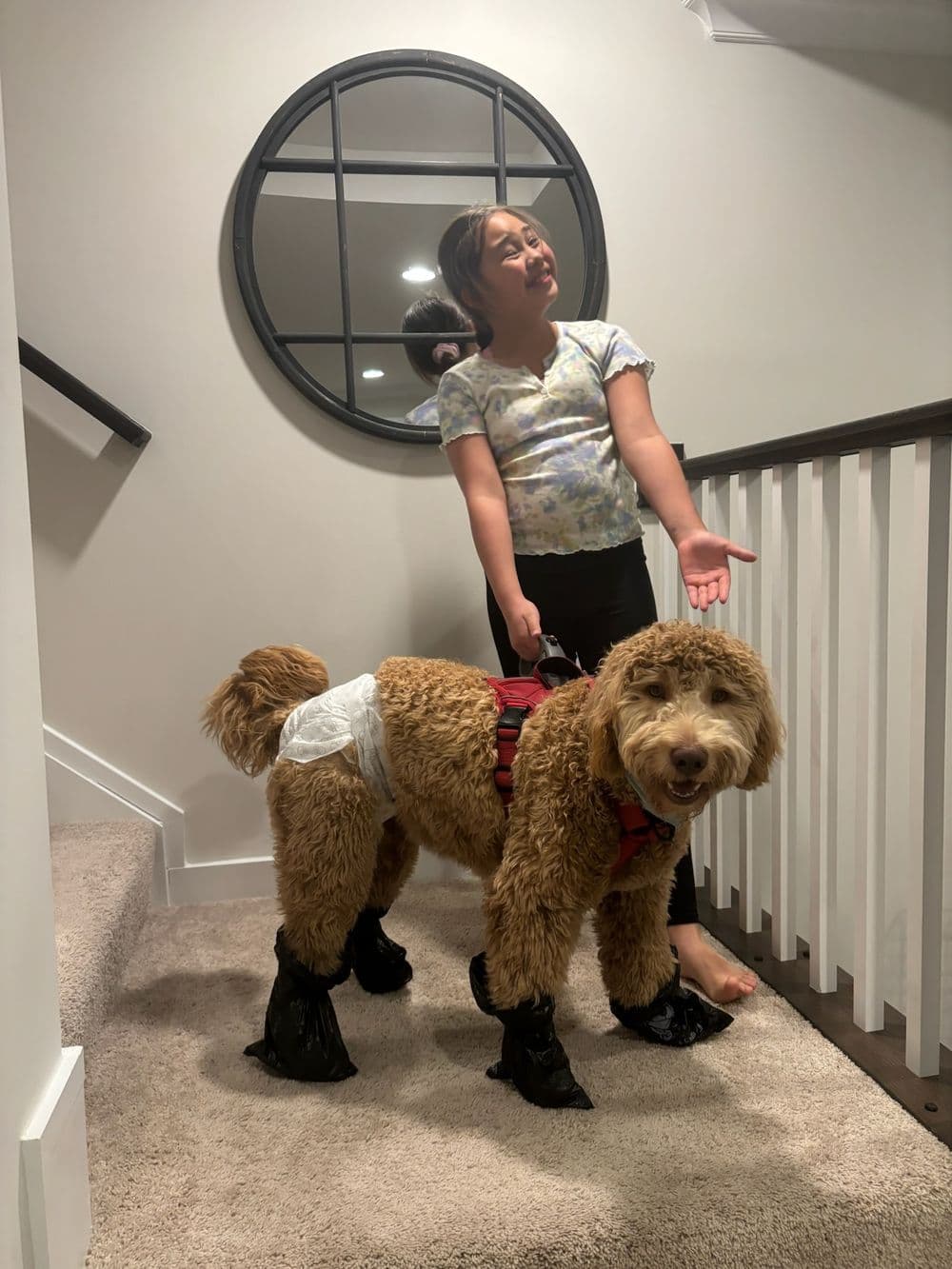 Child gestures playfully with a dog wearing booties and a diaper on stairs.