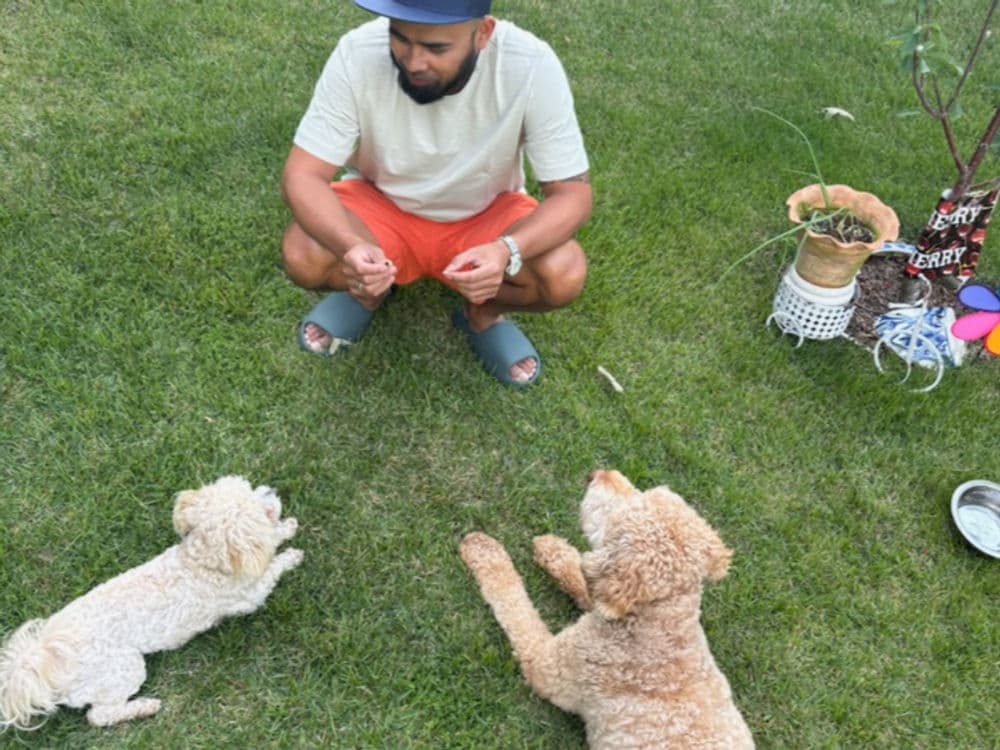 Man in shorts interacting with two dogs on grass, surrounded by plants and colorful decorations.
