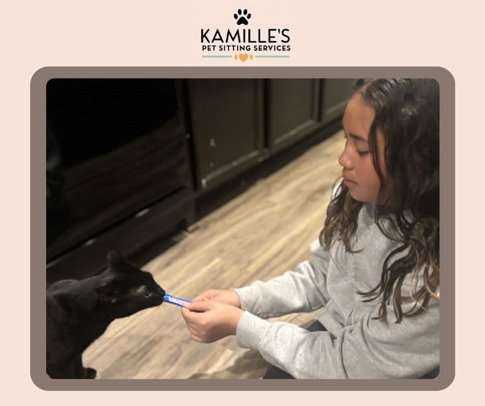 Child interacting with a black cat while offering a treat for Kamille's Pet Sitting Services.