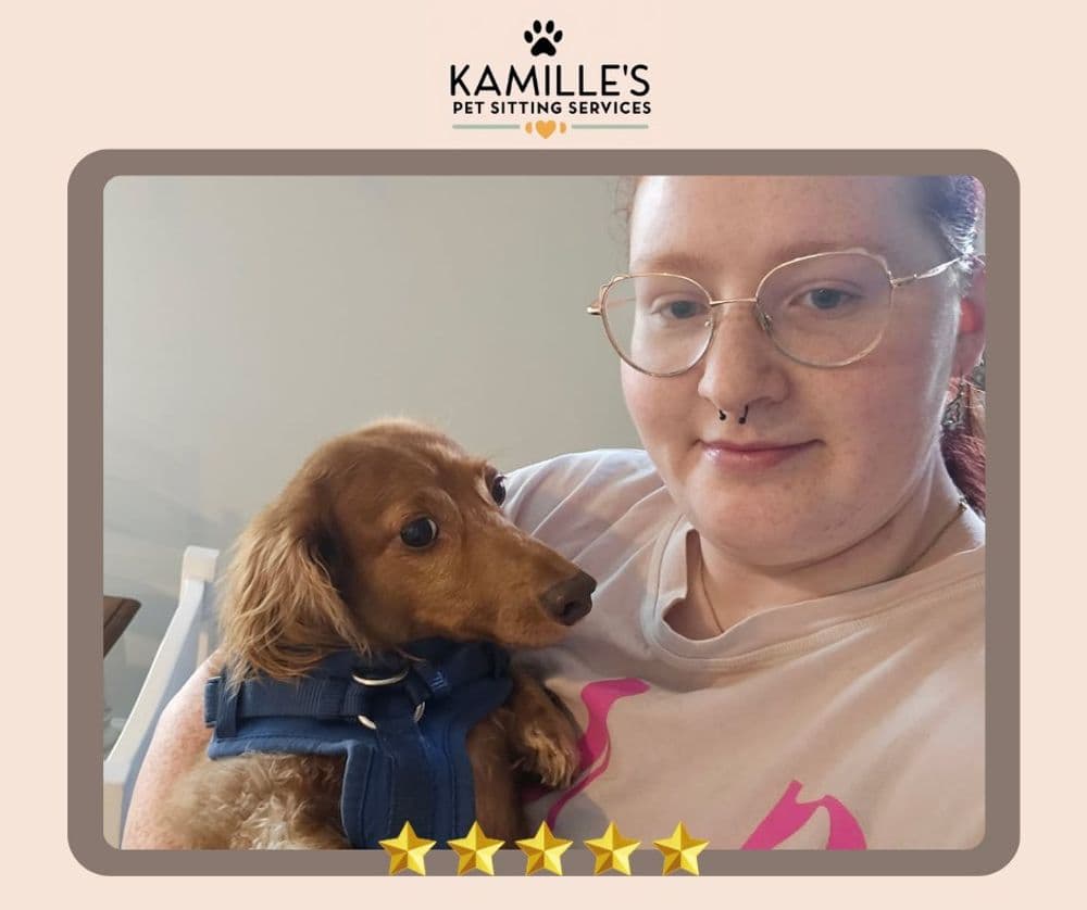 Pet sitter holding a dachshund in a cozy setting, showcasing Kamille's Pet Sitting Services.