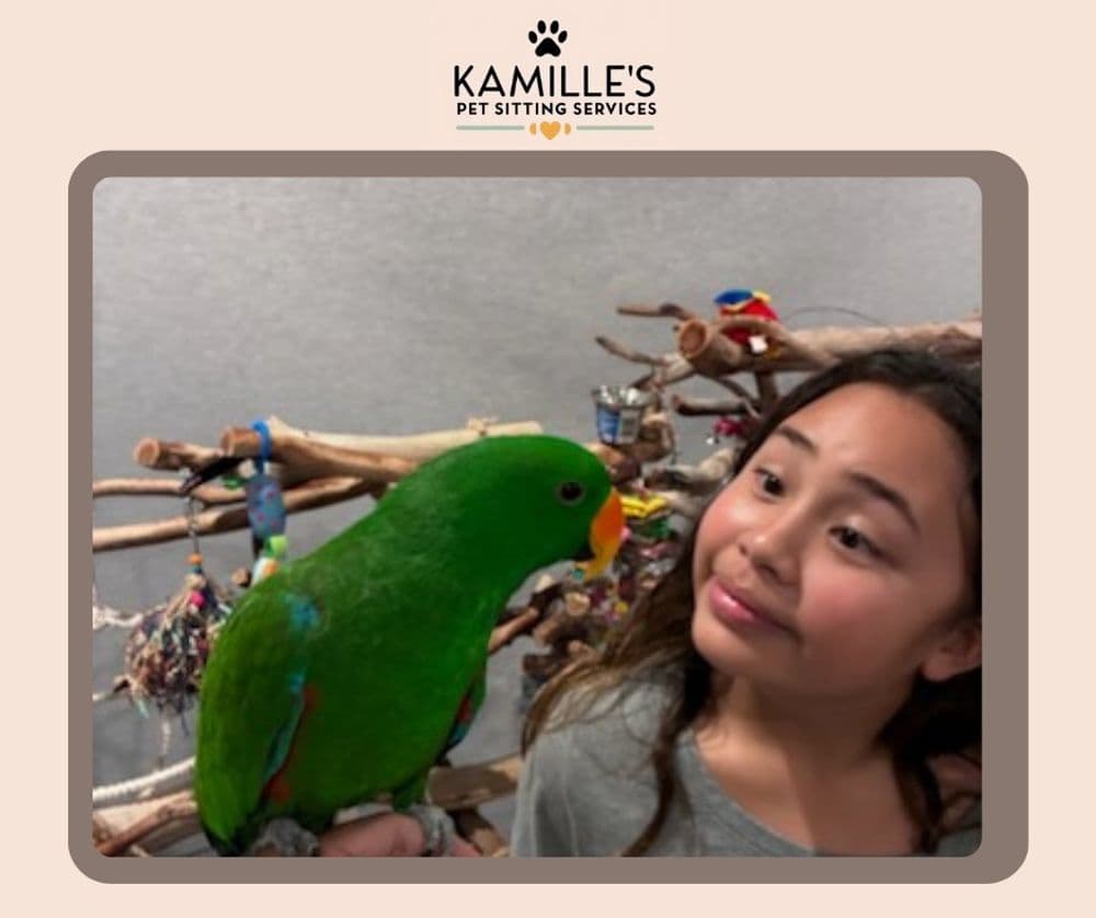 Girl interacting with a vibrant green parrot in a pet sitting setting. Kamille's Pet Sitting Services.