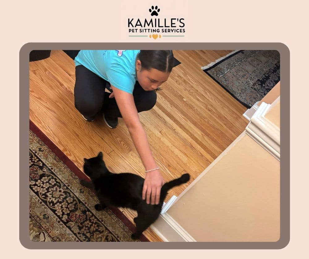 Girl petting a black cat in a cozy indoor setting, promoting Kamille's Pet Sitting Services.
